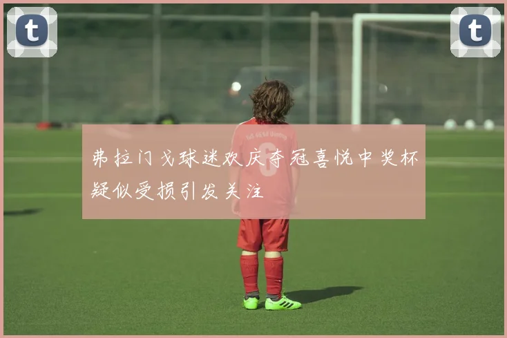 弗拉门戈球迷欢庆夺冠喜悦中奖杯疑似受损引发关注