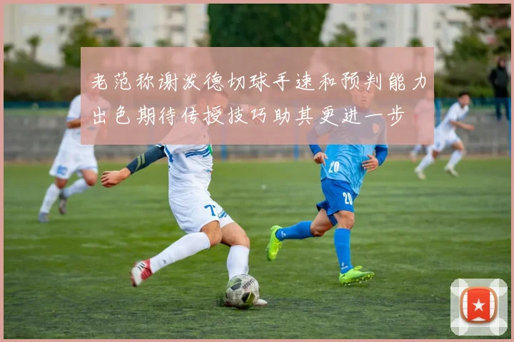 老范称谢泼德切球手速和预判能力出色期待传授技巧助其更进一步